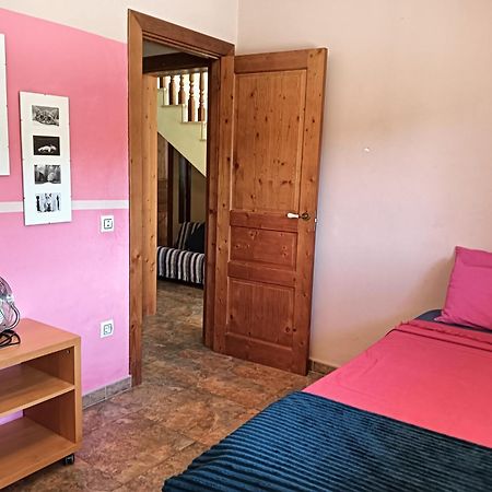 Villa Du Lac Speciale Pour Famille Avec Enfant Riudecanyes エクステリア 写真